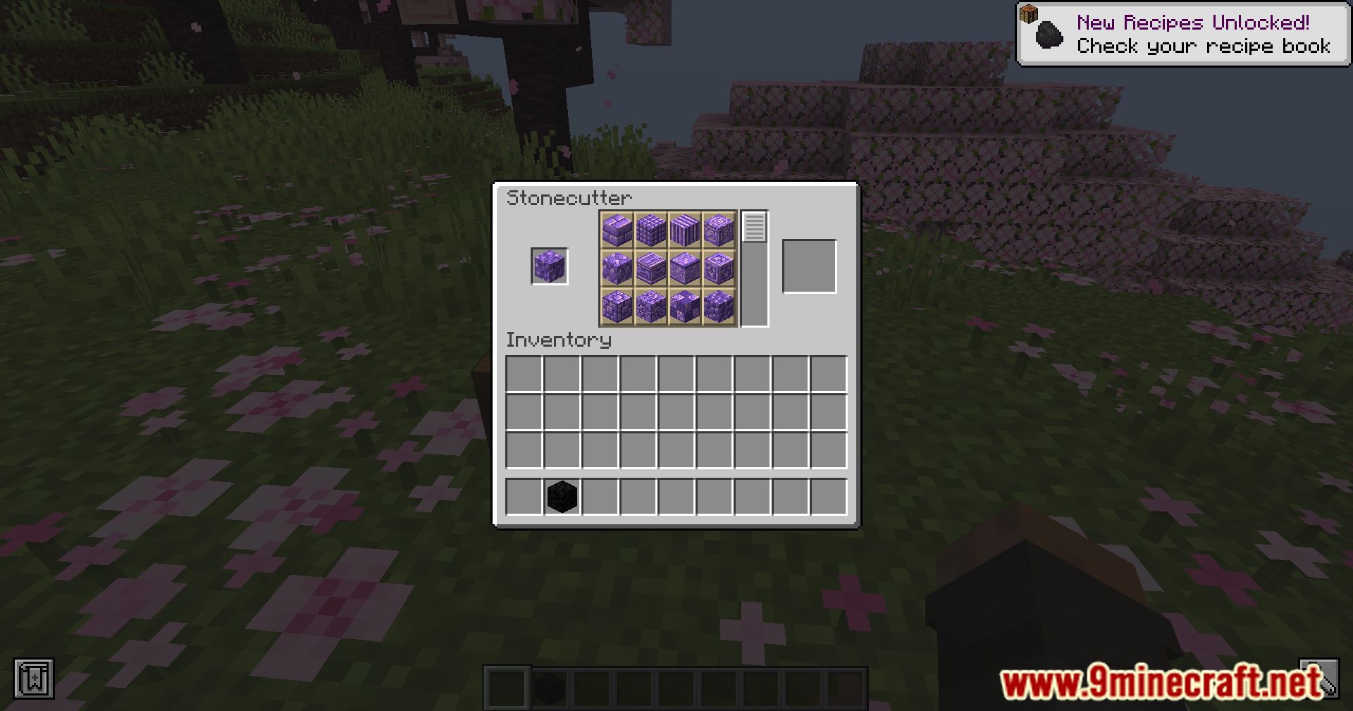 Chipped Express Mod (1.21, 1.20.6) - Automate Your Chipped Creations 3