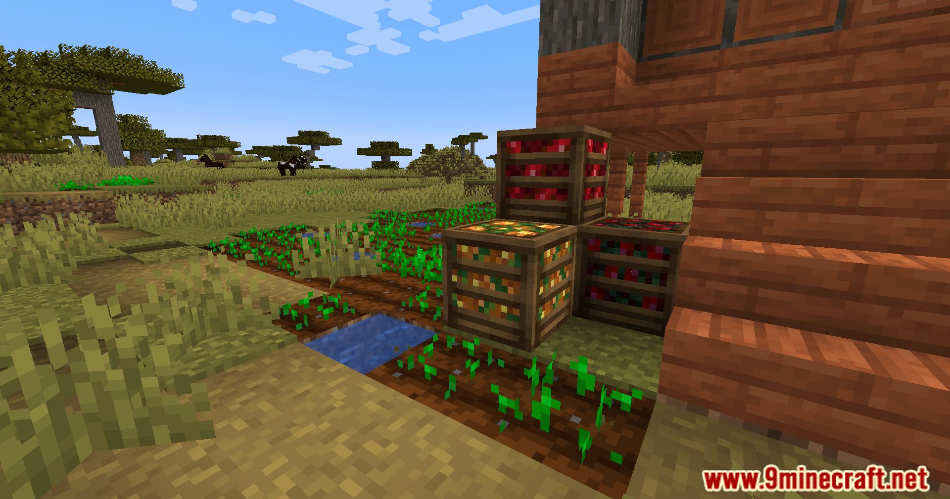 Crate Delight Mod (1.21.1, 1.20.1) - Aesthetic Storage Solutions 3