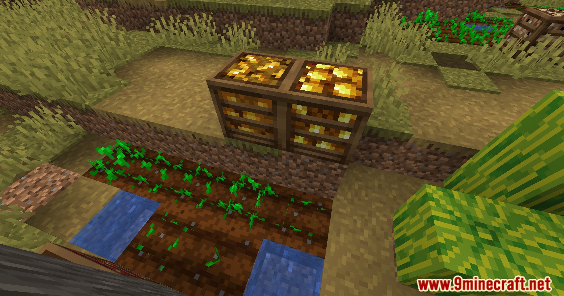 Crate Delight Mod (1.21.1, 1.20.1) - Aesthetic Storage Solutions 6