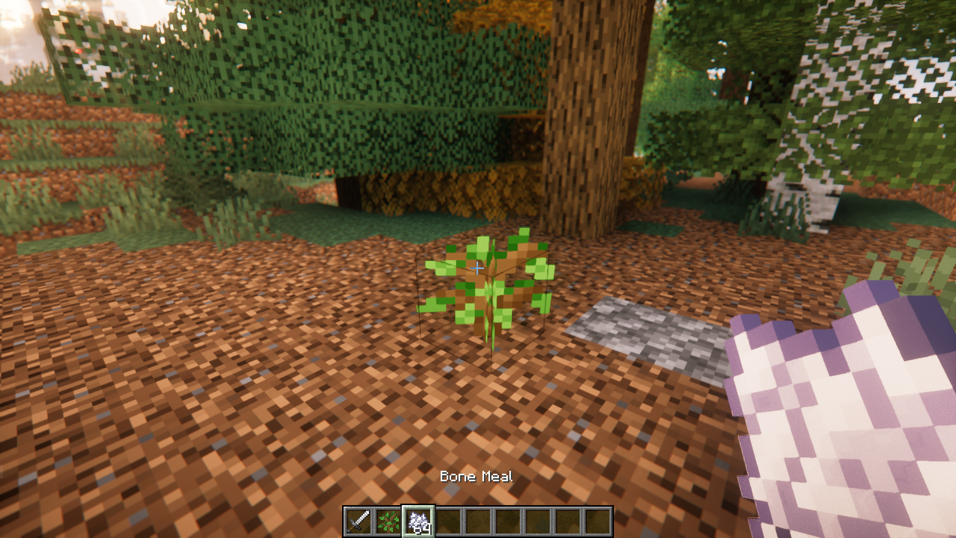 Custom Biome Saplings Mod (1.21.1, 1.20.1) - Renewable Modded Trees 8