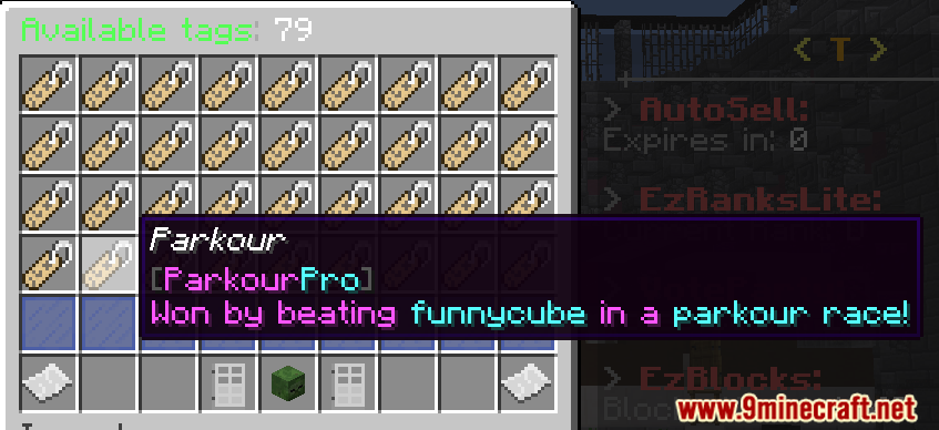 DeluxeTags Plugin (1.19.4, 1.19.2) - Allow Players To Select Chat Tags That Can Be Awarded 9