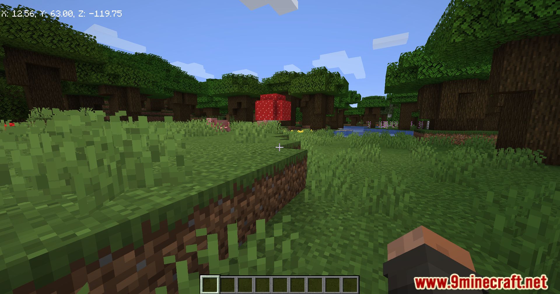 Embeddium Extension Mod (1.16.5) - Performance And Rendering Fixes 8