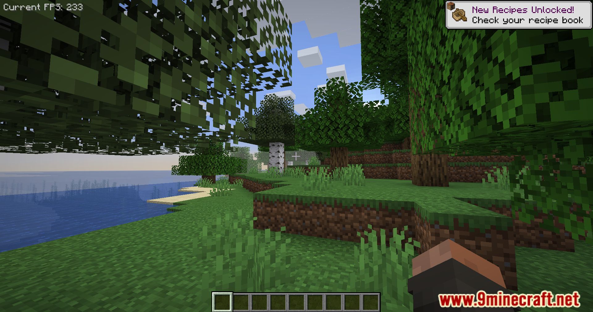 Embeddium Extras Mod (1.16.5) - Performance Tweaks 4