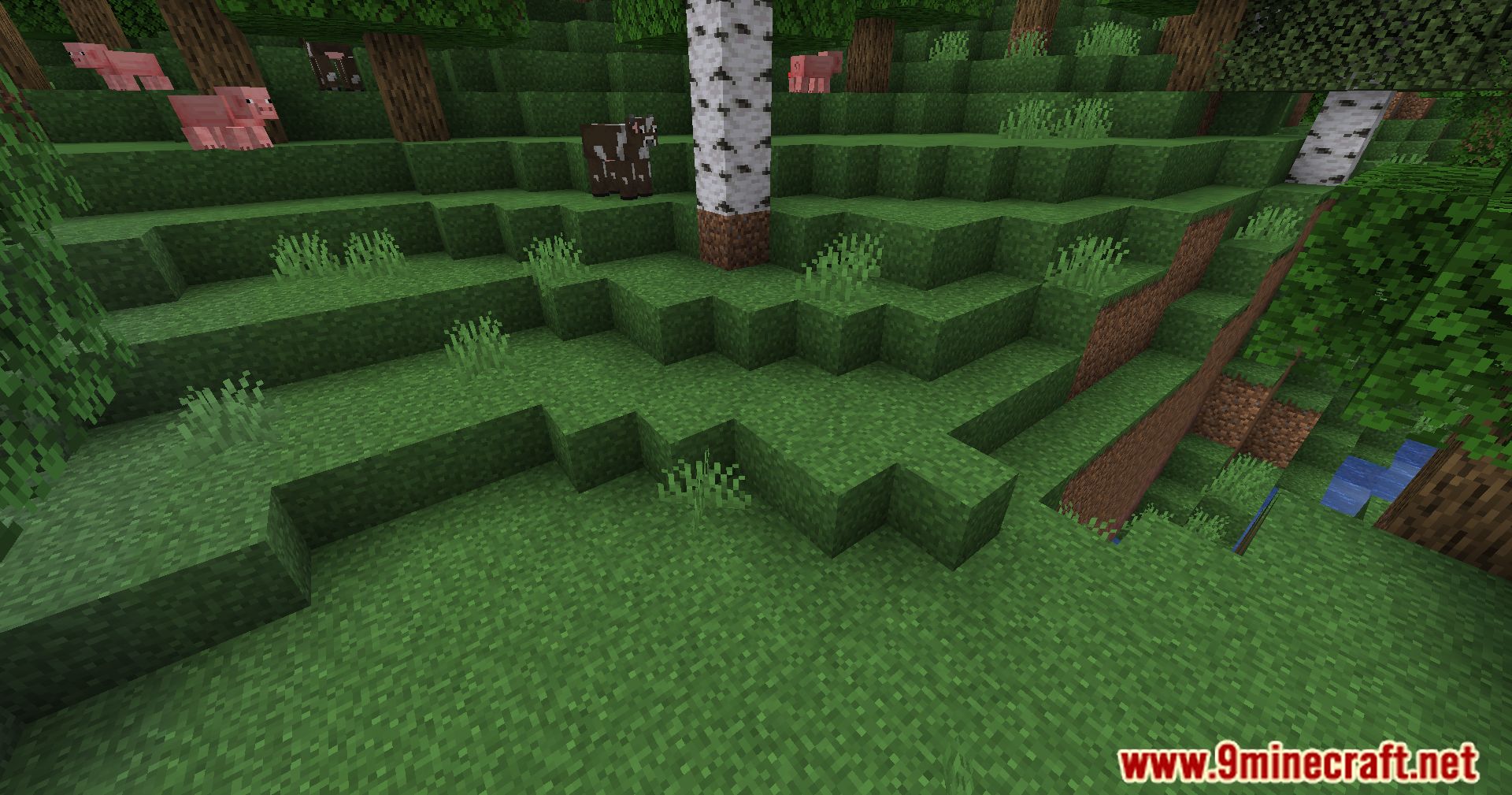 Fabric Better Grass Mod (1.21.1, 1.20.1) - Enhance Your Minecraft Terrain 3