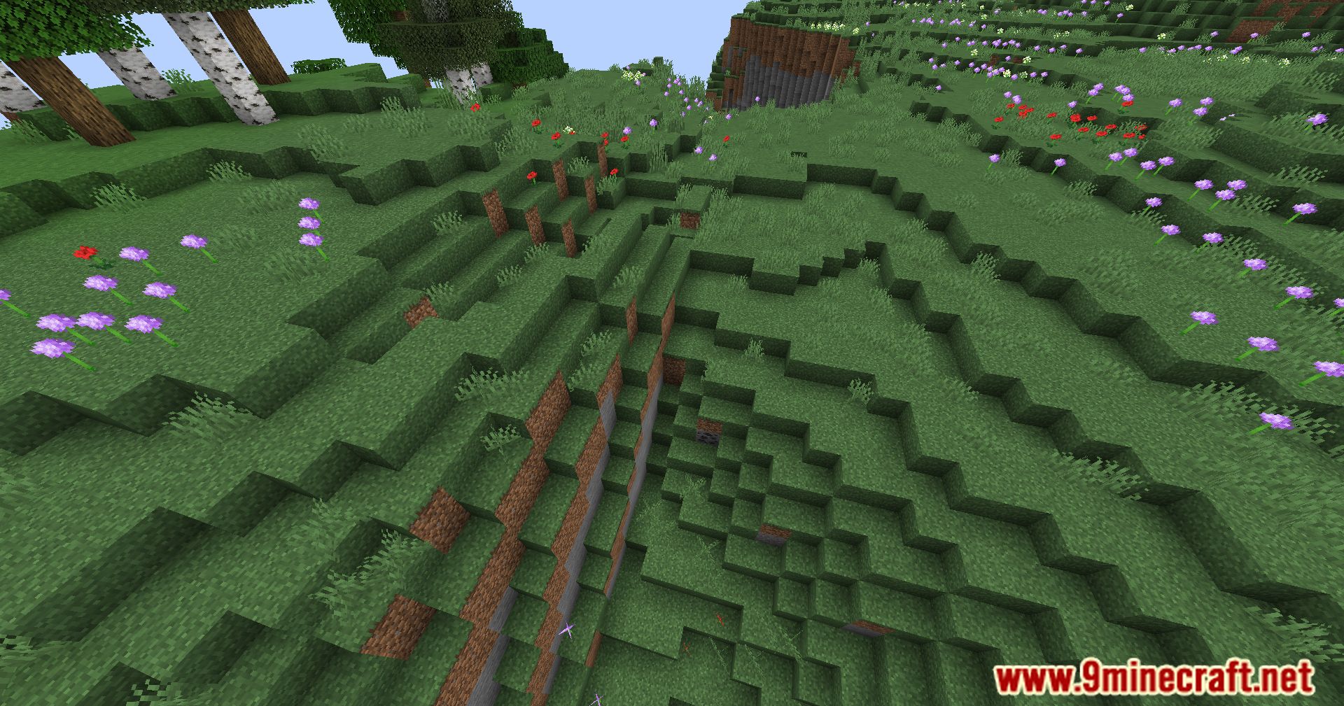 Fabric Better Grass Mod (1.21.1, 1.20.1) - Enhance Your Minecraft Terrain 10