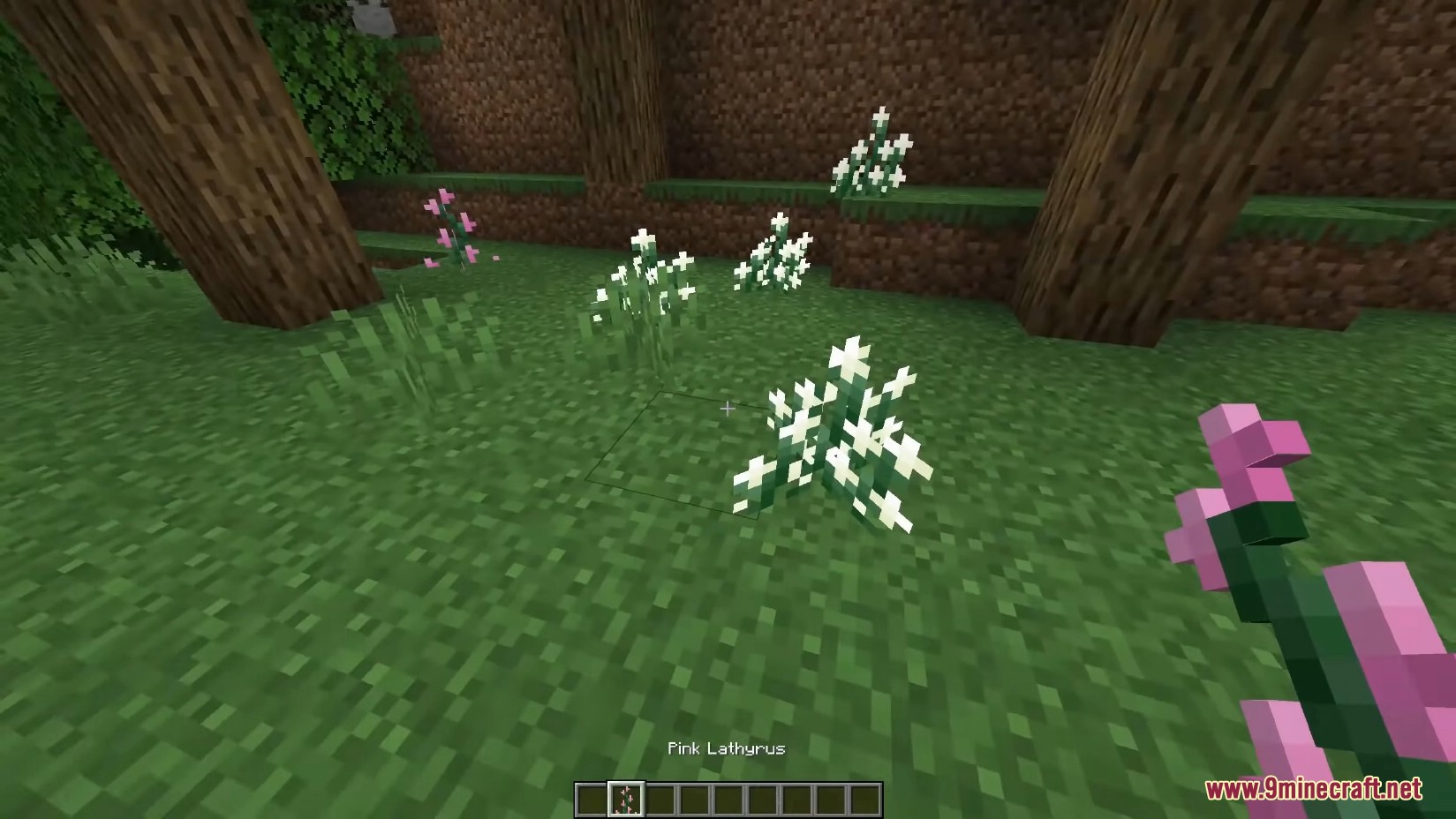 Flonters Mod (1.18.2, 1.16.5) - Miscellaneous Flora and Flower 2