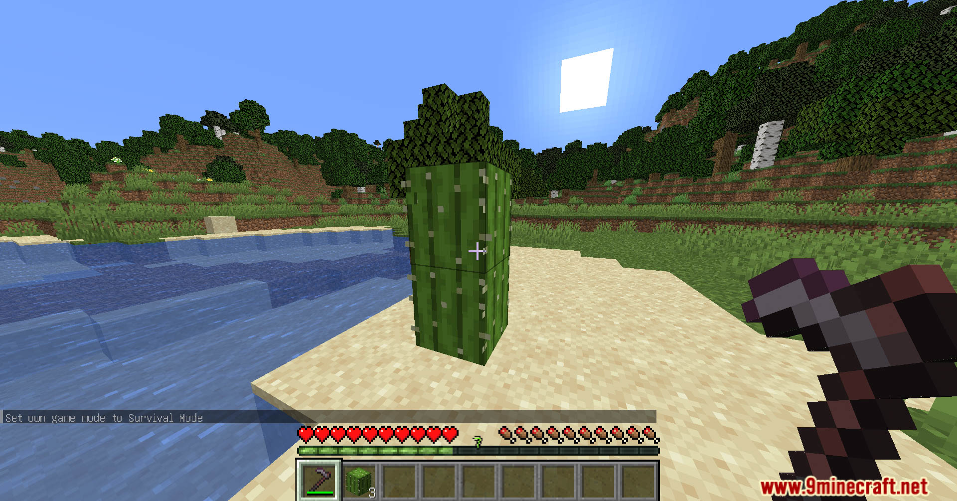 Hoe Effective Cactus Data Pack (1.21.1, 1.20.1) - Speed Up Your Cactus Harvesting 5