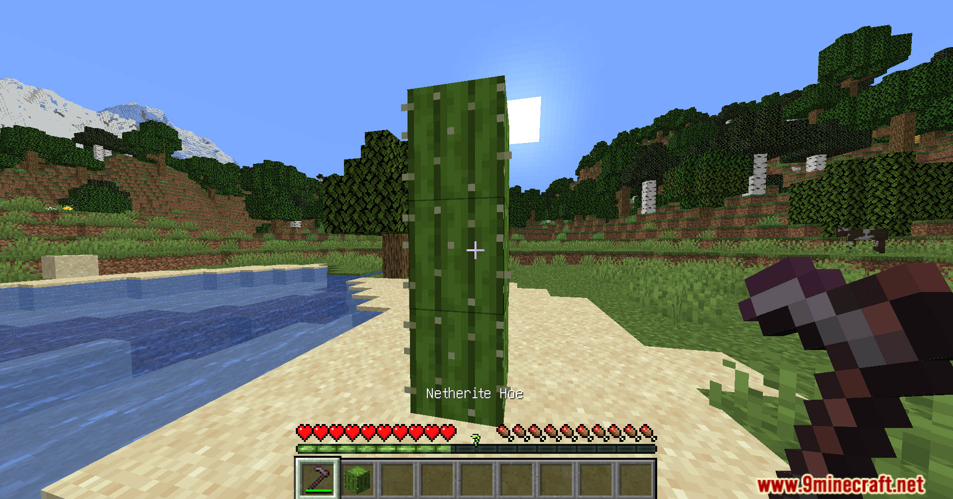 Hoe Effective Cactus Data Pack (1.21.1, 1.20.1) - Speed Up Your Cactus Harvesting 8