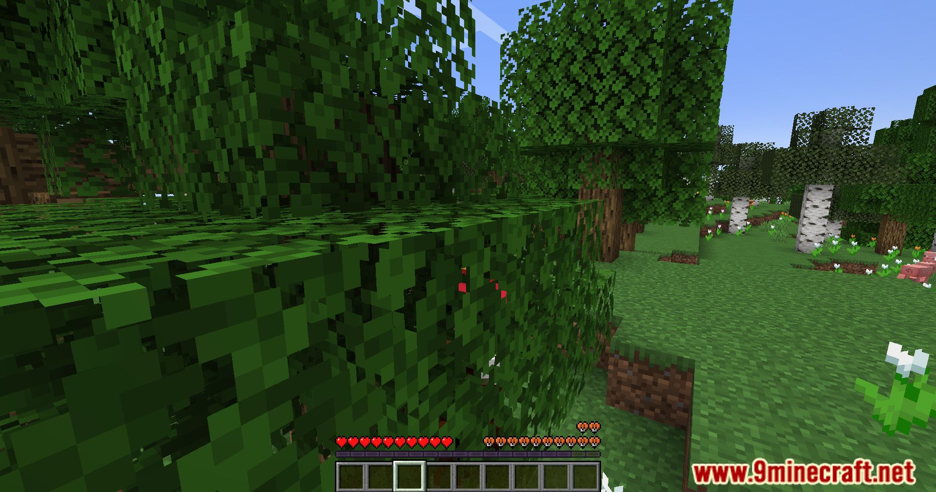 Leaf Me Alone Mod (1.21, 1.20.6) - Effortless Forest Travel 5