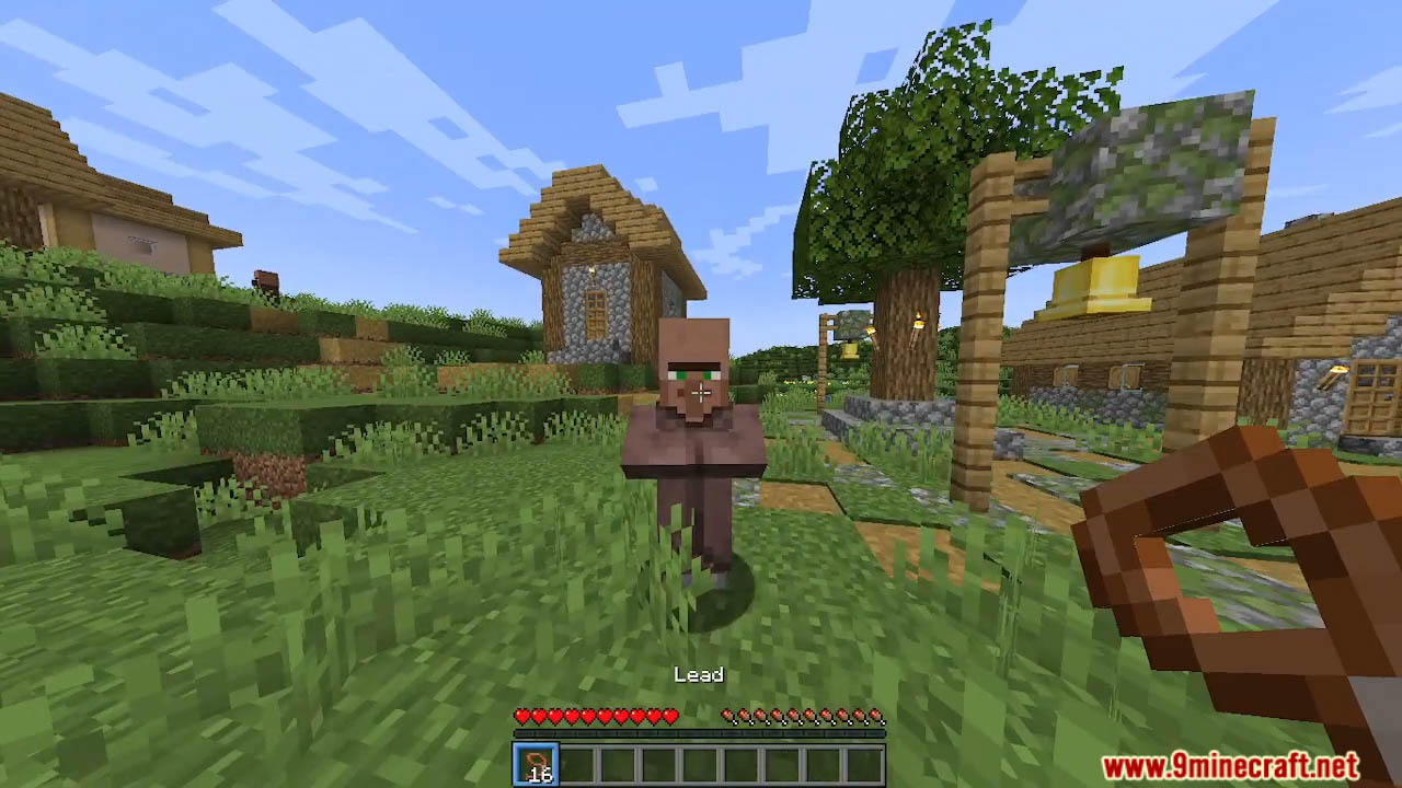 Leash Villager Data Pack (1.21.1, 1.20.1) - Easily Transport Your Villagers 3