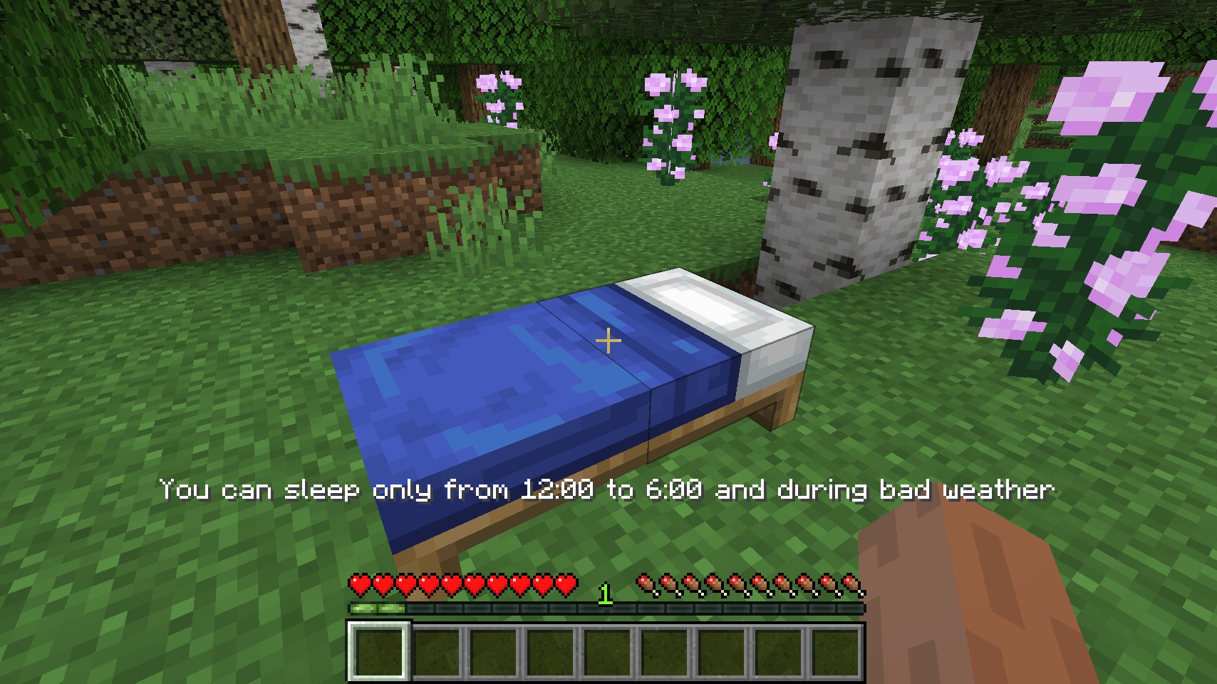 Let Me Sleep Mod (1.16.5, 1.12.2) - Better Safe When Sleep 7