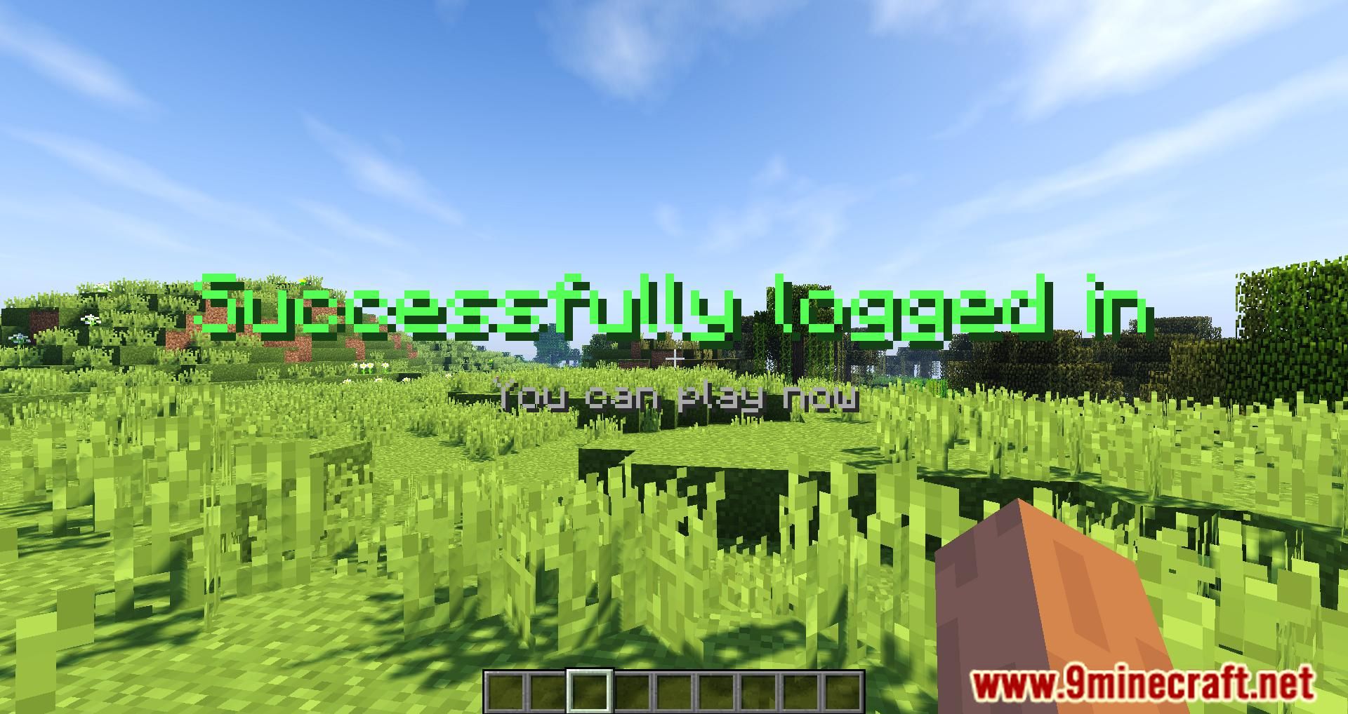 LoginPlus Plugin (1.18.2, 1.16.5) - Offers A Secure And Easy To Use Alternative 5