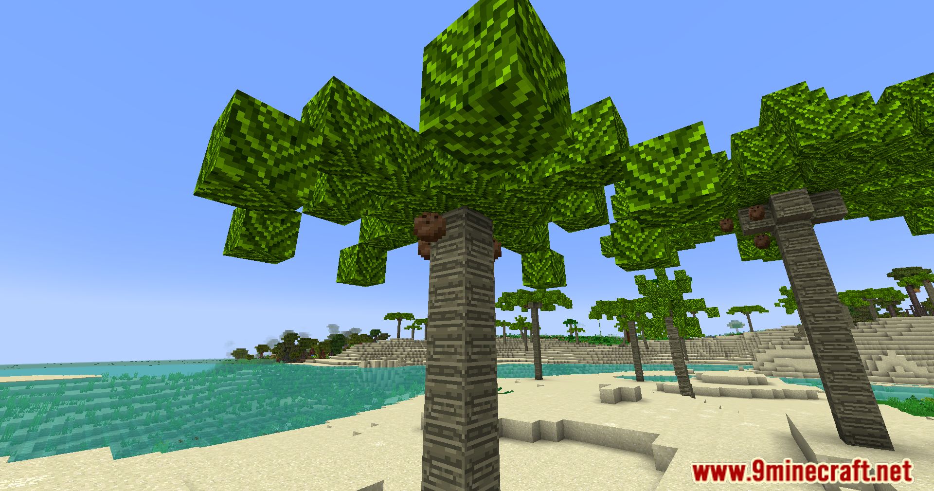 NotActuallyTerry's Tropicraft Mod (1.21, 1.20.1) - Tropical Adventures Await 12