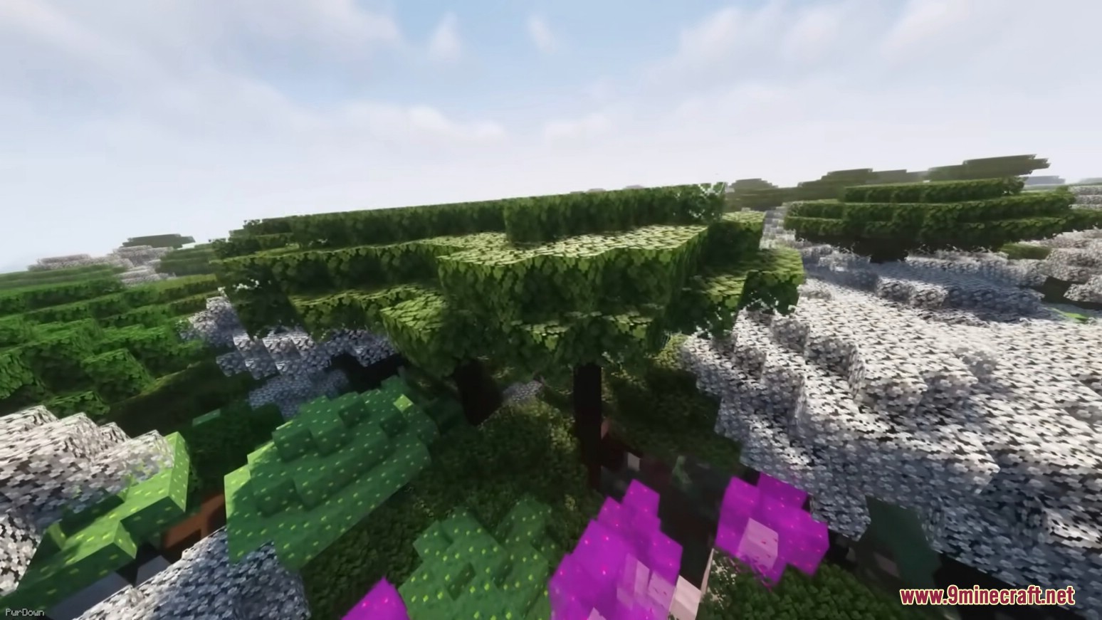 Oh The Biomes You'll Go Plus Mod (1.18.1, 1.16.5) 4