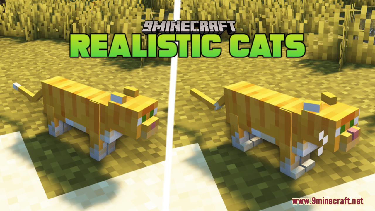 Realistic Cats Resource Pack (1.21.1, 1.20.1) - Texture Pack 1