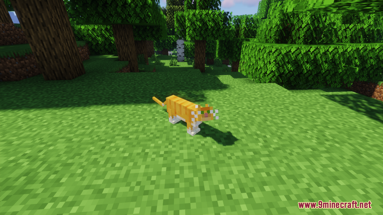 Realistic Cats Resource Pack (1.21.1, 1.20.1) - Texture Pack 8