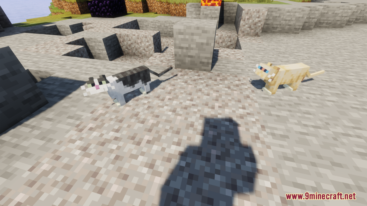 Realistic Cats Resource Pack (1.21.1, 1.20.1) - Texture Pack 9