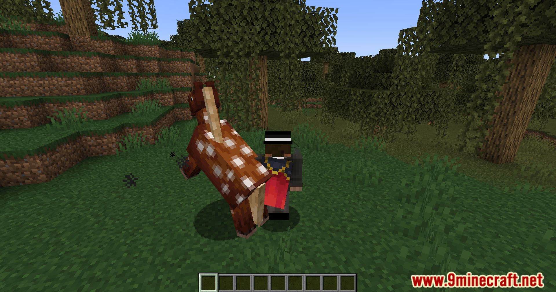 Superb Steeds Mod (1.21.1, 1.20.1) - Advanced Horse Mechanics 4