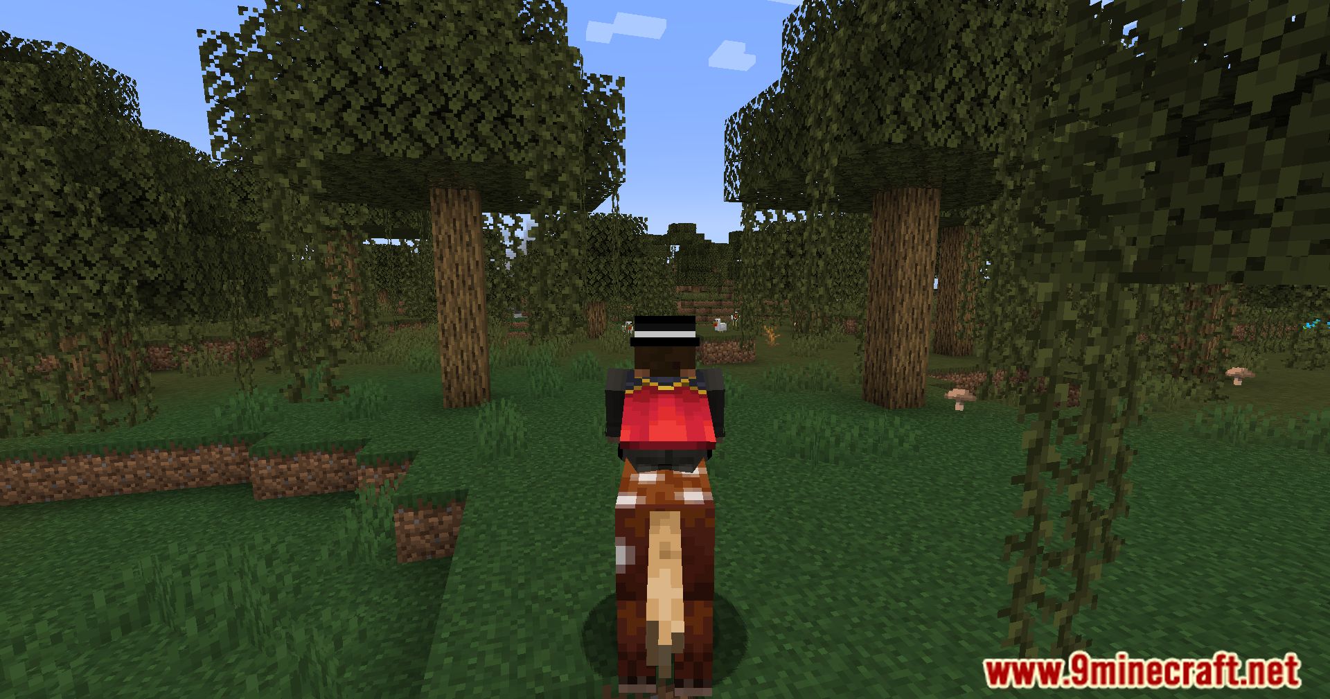 Superb Steeds Mod (1.21.1, 1.20.1) - Advanced Horse Mechanics 7