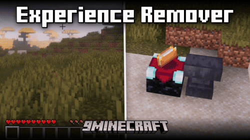 Experience Remover Mod (1.21.1, 1.20.1) – Removes The Experience Bar & Enchanting Thumbnail