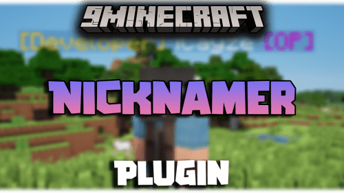 NickNamer Plugin (1.17.1) – Nickname And Skin Changer Plugin Thumbnail