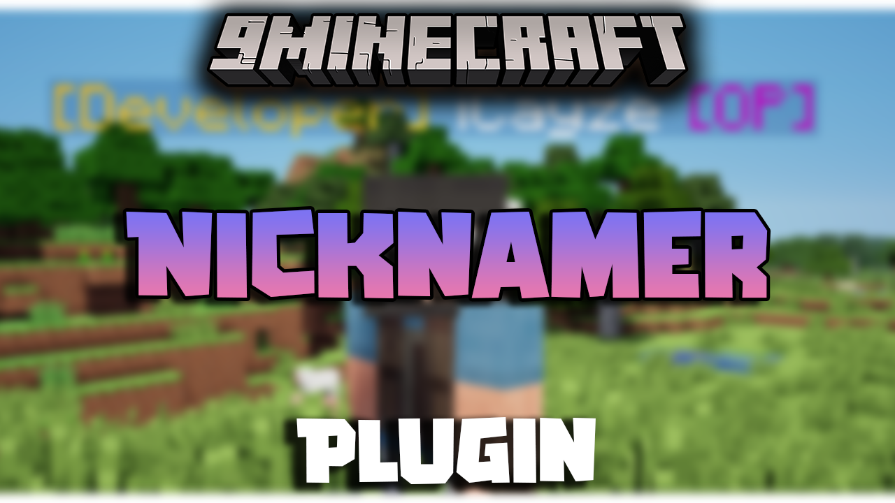 NickNamer Plugin (1.17.1) - Nickname And Skin Changer Plugin 1