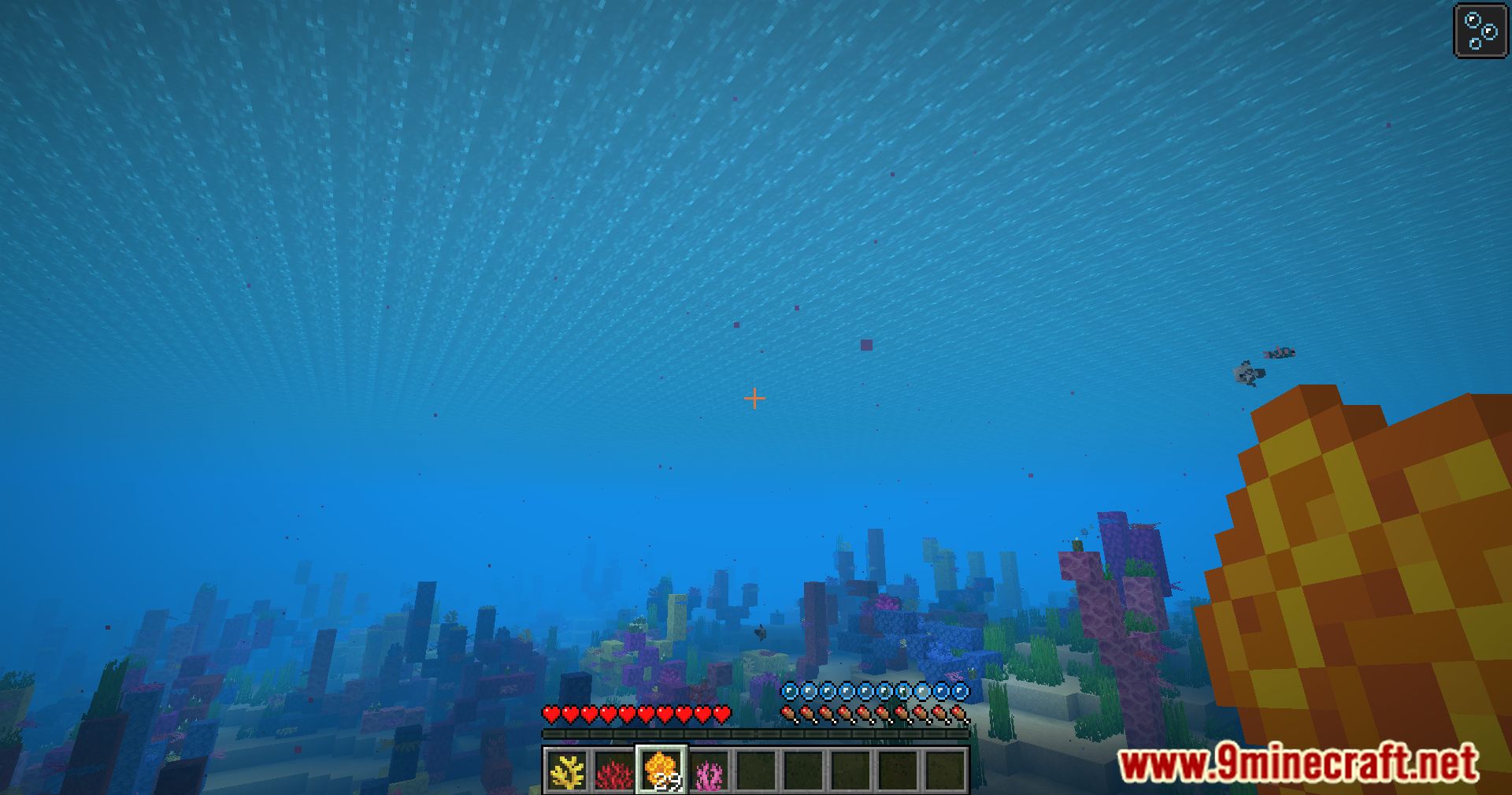 Waxable Coral Mod (1.21.1, 1.20.1) - Keep Coral Blocks Vibrant 9