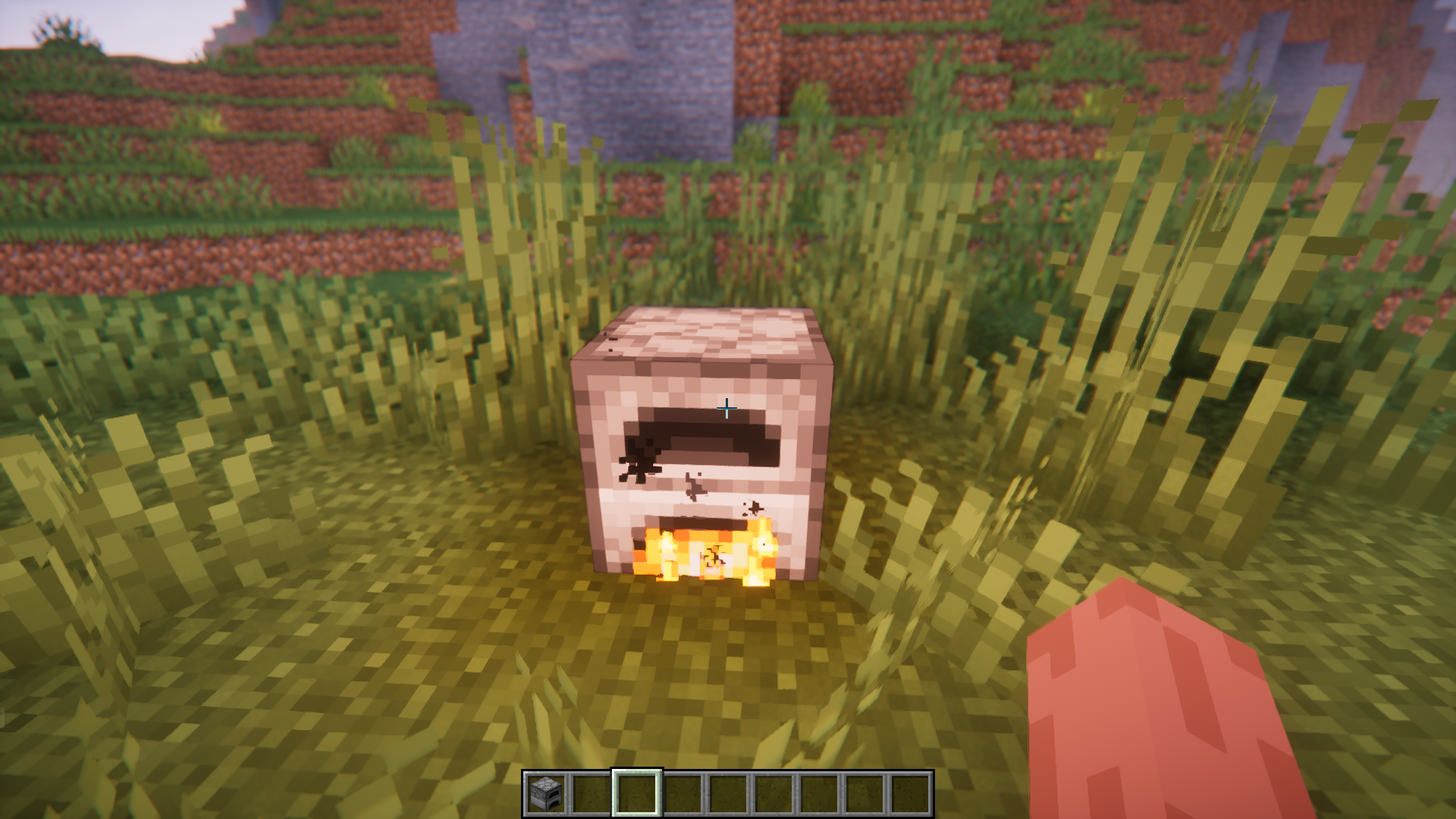 A Watched Pot Mod (1.21.1, 1.21) - As The Old Saying Goes… 6