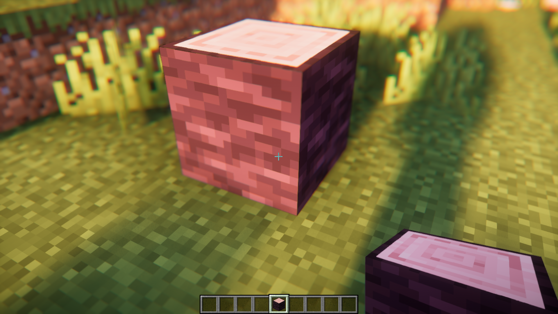 Block History Mod (1.21.1, 1.20.1) - Track Block Place/Break History 6