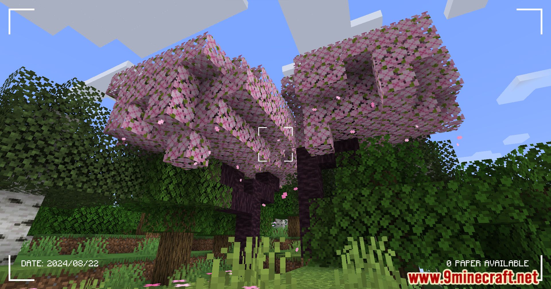 Camerapture Mod (1.21.1, 1.20.1) - Capture Your Minecraft Memories 11