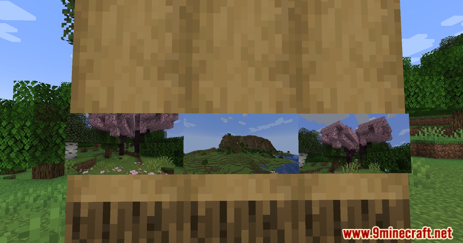 Camerapture Mod (1.21.1, 1.20.1) - Capture Your Minecraft Memories 12