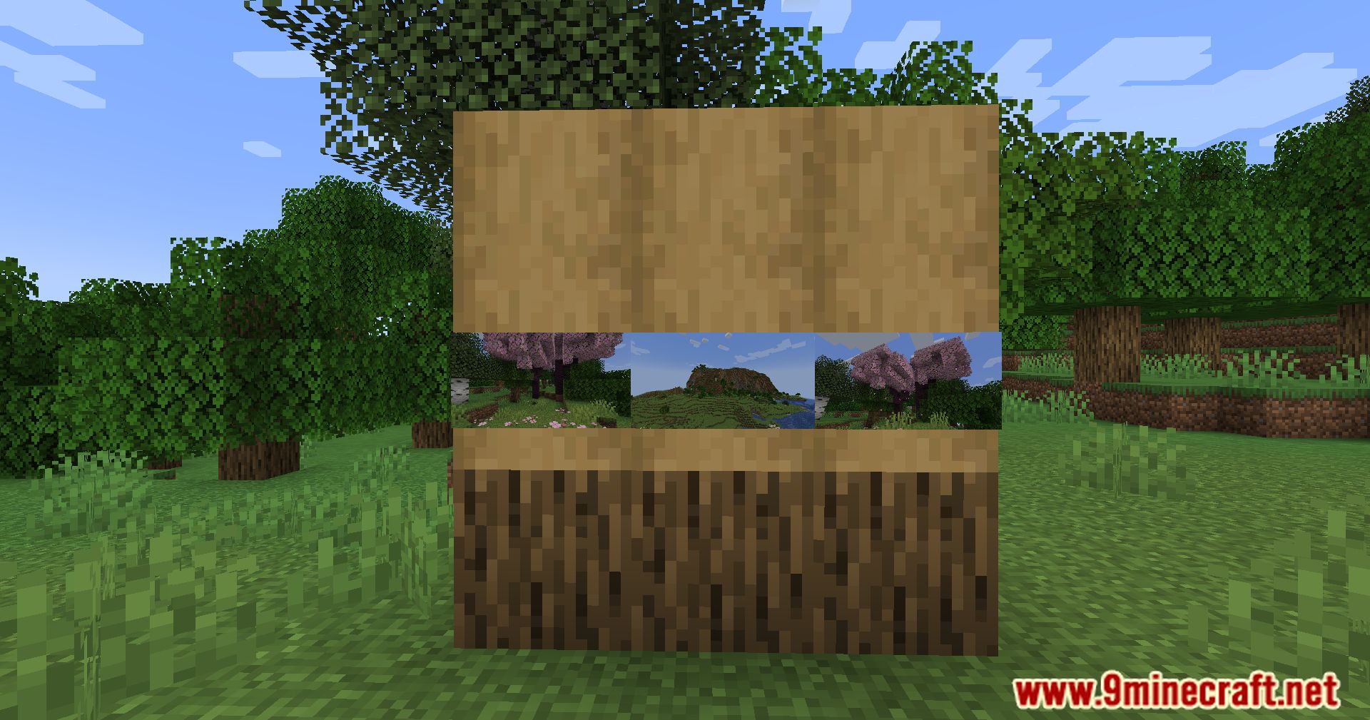 Camerapture Mod (1.21.1, 1.20.1) - Capture Your Minecraft Memories 13