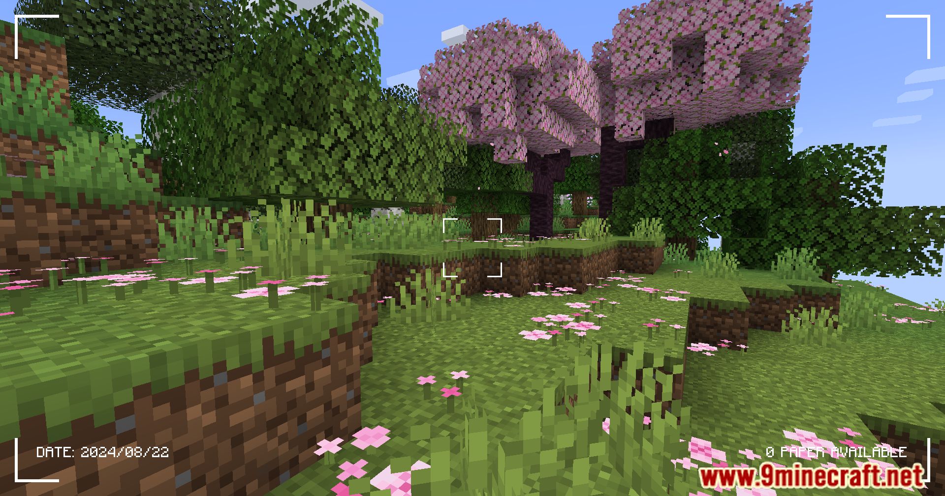 Camerapture Mod (1.21.1, 1.20.1) - Capture Your Minecraft Memories 6