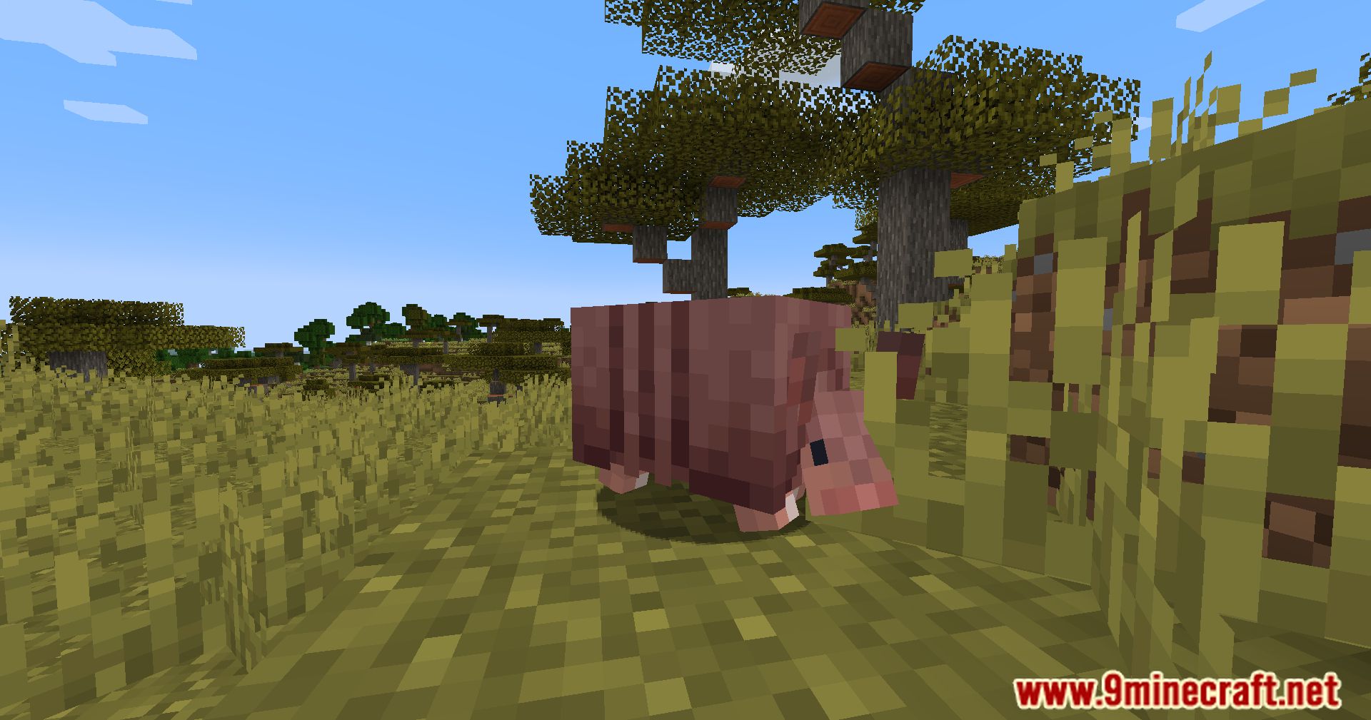 Hardened Armadillos Mod (1.21.1, 1.20.6) - Obtaining Scutes In A More Challenging Way 11