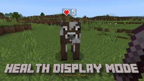 Health Display Addon (1.21) – MCPE/Bedrock Mod Thumbnail