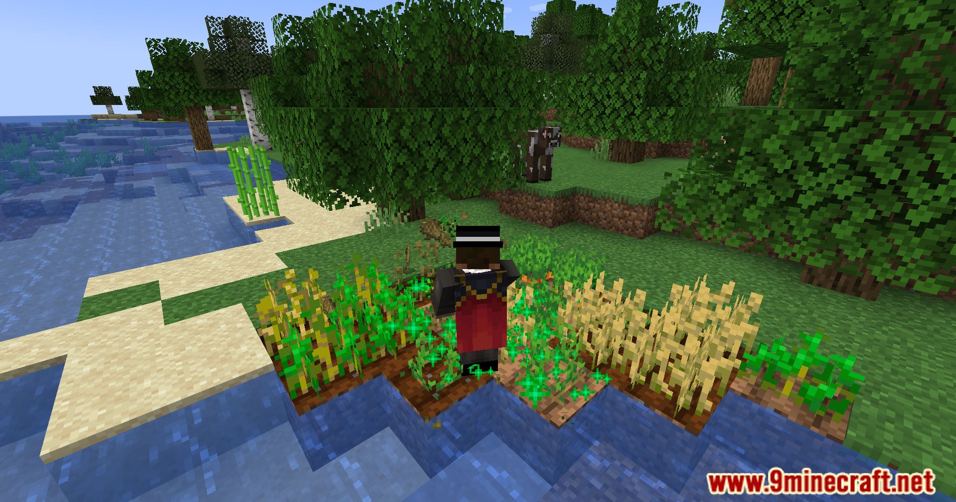 Replanter Plus Mod (1.21.1, 1.20.1) - Simplify Crop Management 11