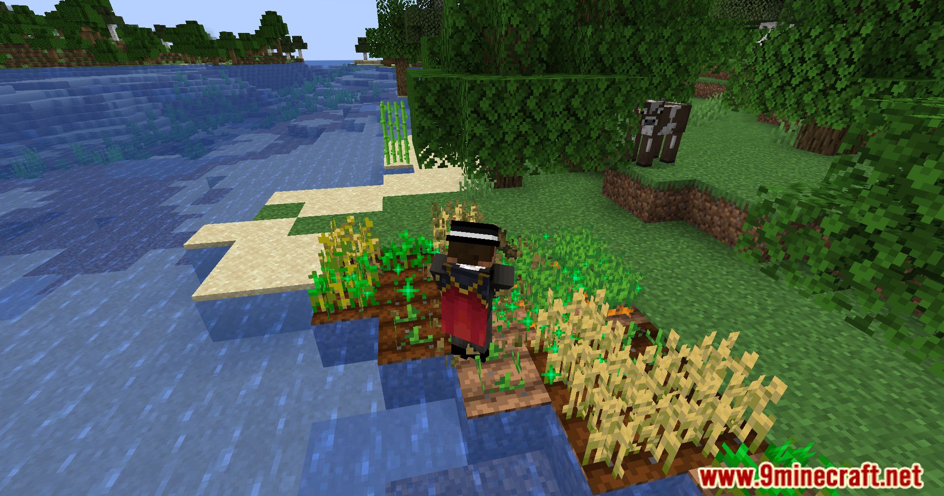 Replanter Plus Mod (1.21.1, 1.20.1) - Simplify Crop Management 8