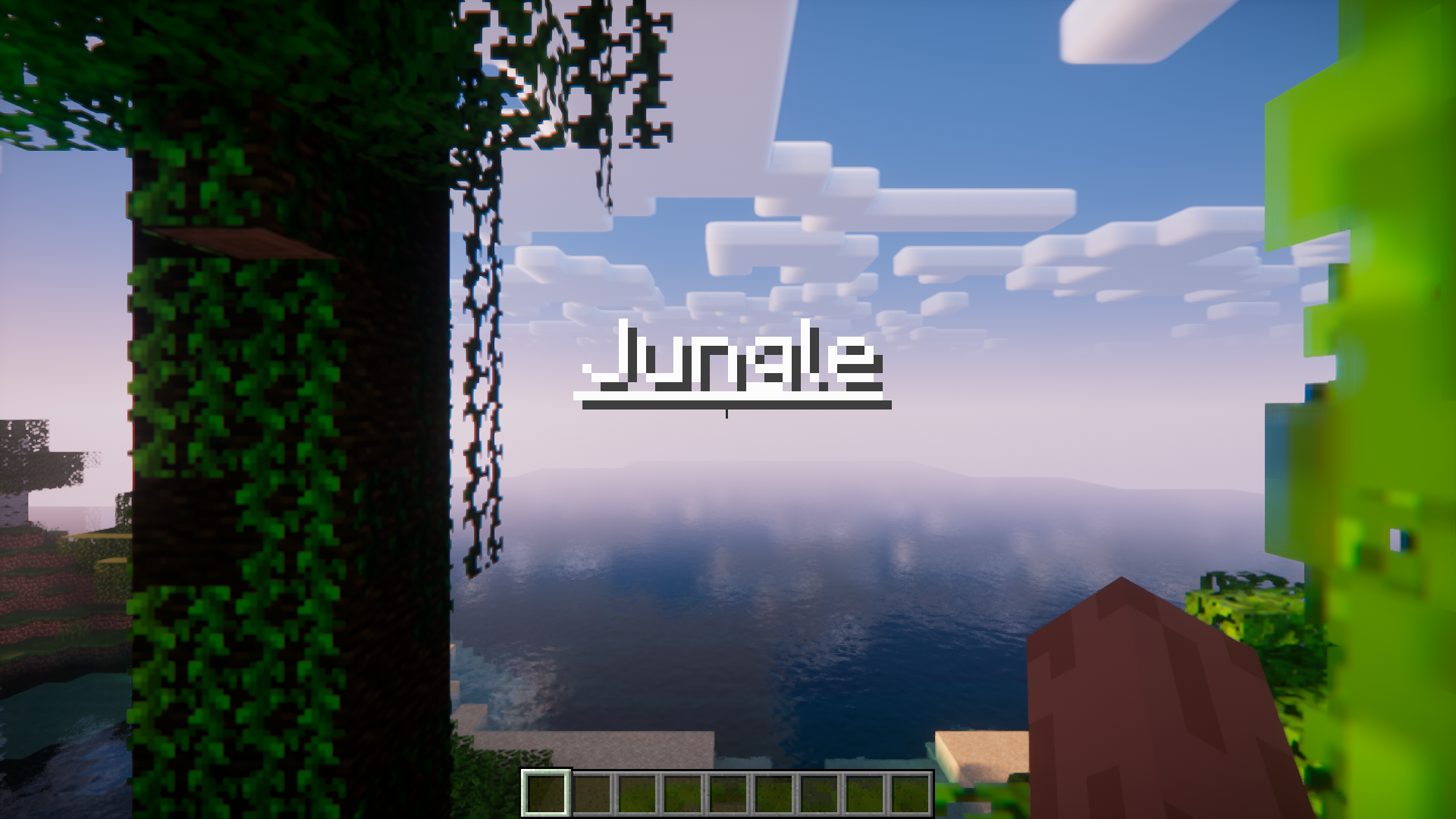 You Are Here Mod (1.21.1, 1.20.6) - Shows Title Overlays Upon Entering A New Biome 2