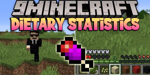 Dietary Statistics Mod (1.19.4, 1.18.2) – Eeating More Food Than Ever Thumbnail