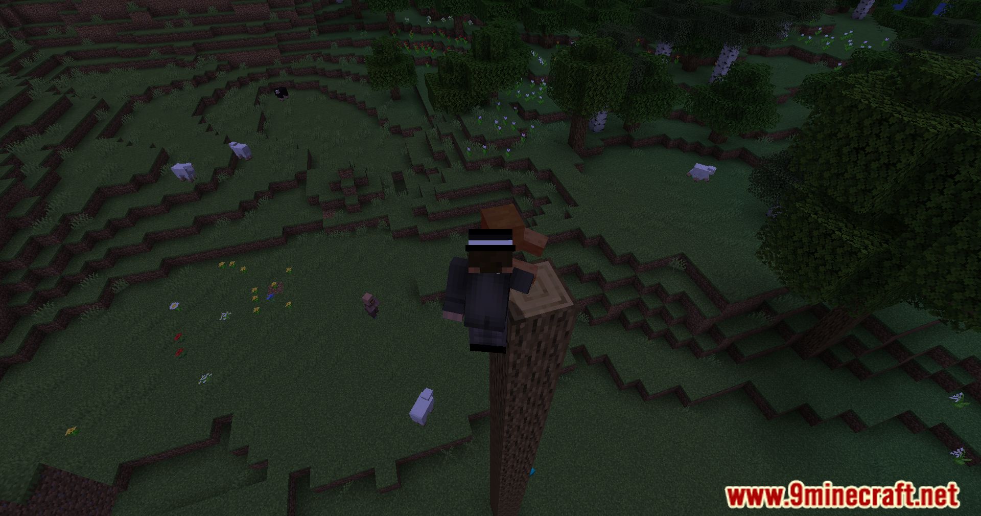 Mob Spider Climb Mod (1.21.1, 1.20.1) - Ground-Based Mobs Now Climb Walls 6