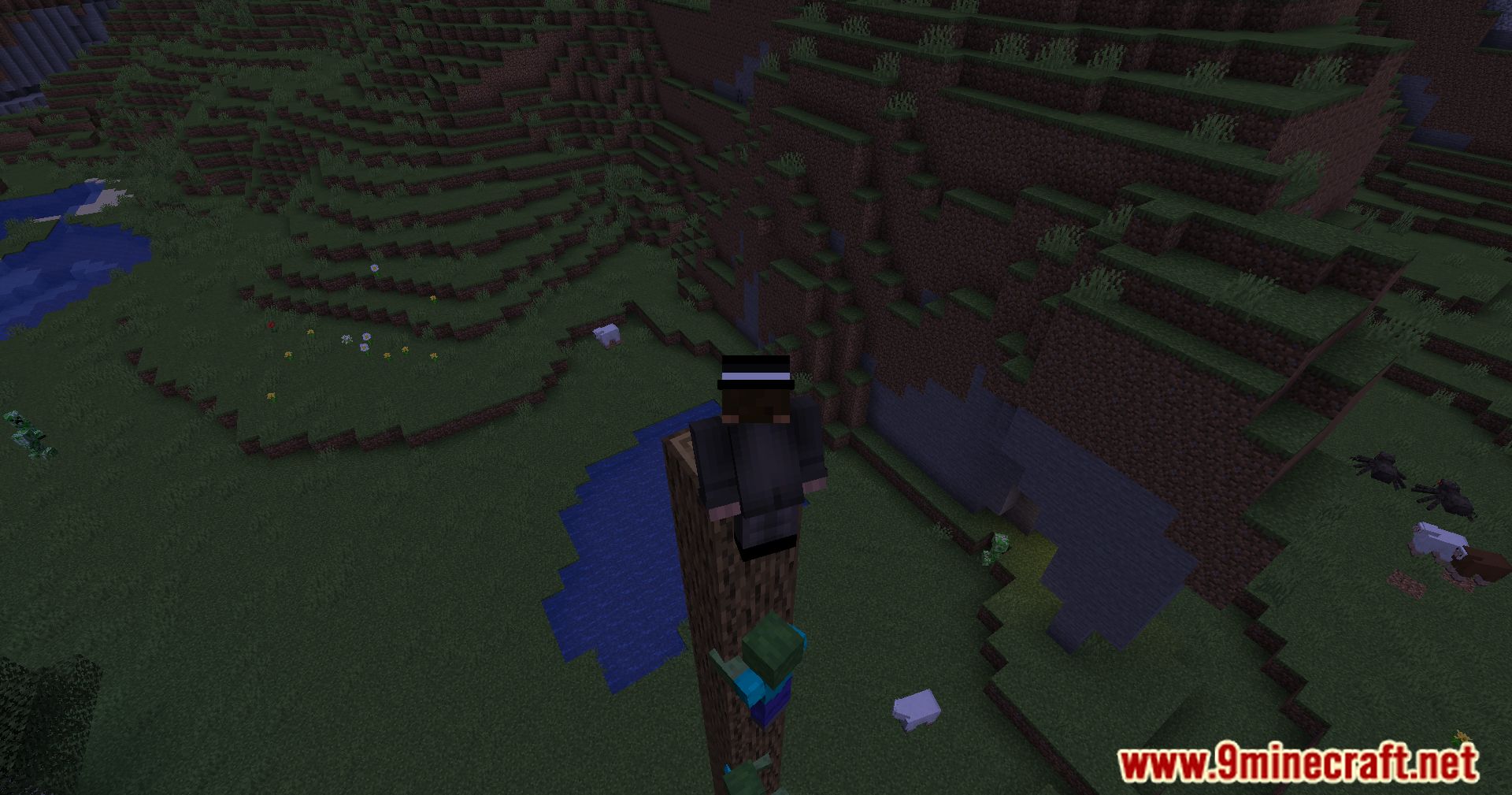 Mob Spider Climb Mod (1.21.1, 1.20.1) - Ground-Based Mobs Now Climb Walls 9