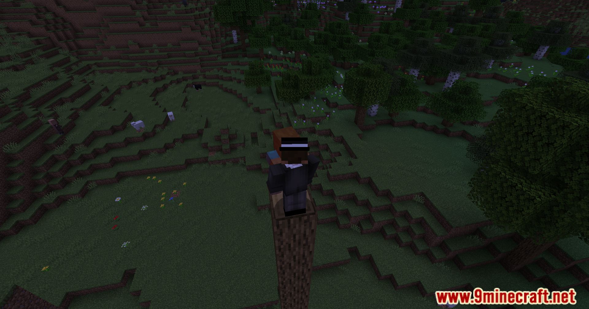 Mob Spider Climb Mod (1.21.1, 1.20.1) - Ground-Based Mobs Now Climb Walls 10