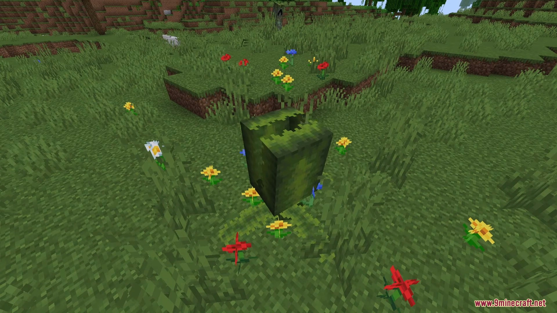 The Amazing World Of Mobs Mod (1.19.2) - Variety of Creatures 3