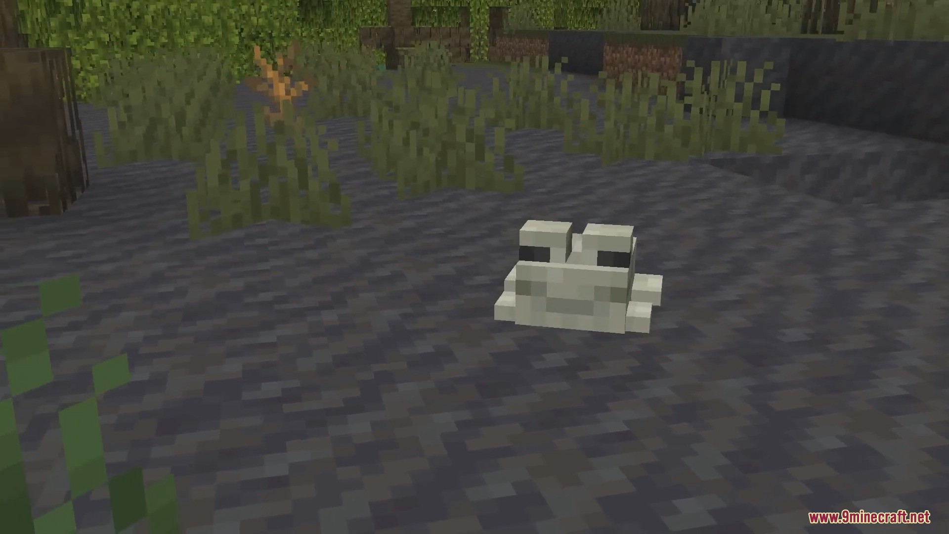 The Wild Backport Mod (1.18.2) - Backport Features from The Wild Update 8