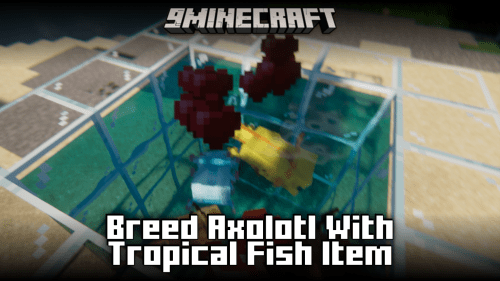 Breed Axolotl With Tropical Fish Item Mod (1.21.1, 1.20.1) – Use Fish Instead Of Bucket Of Fish Thumbnail