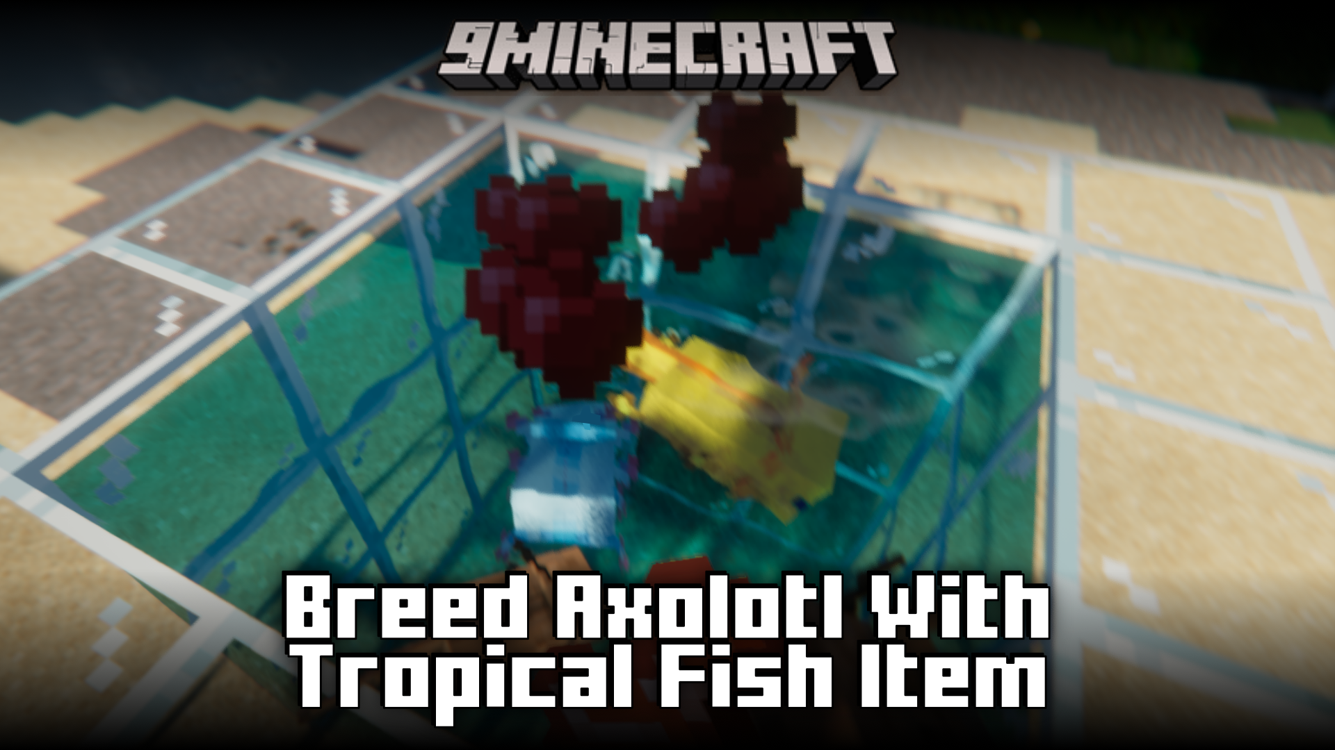 Breed Axolotl With Tropical Fish Item Mod (1.21.1, 1.20.1) - Use Fish Instead Of Bucket Of Fish 1