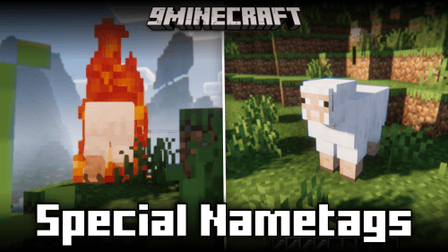 Special Nametags Mod (1.21.1, 1.21) – Nametags With Special Effects Thumbnail