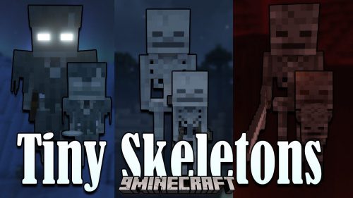 Tiny Skeletons Mod (1.21.1, 1.20.1) – New Baby Entity Thumbnail