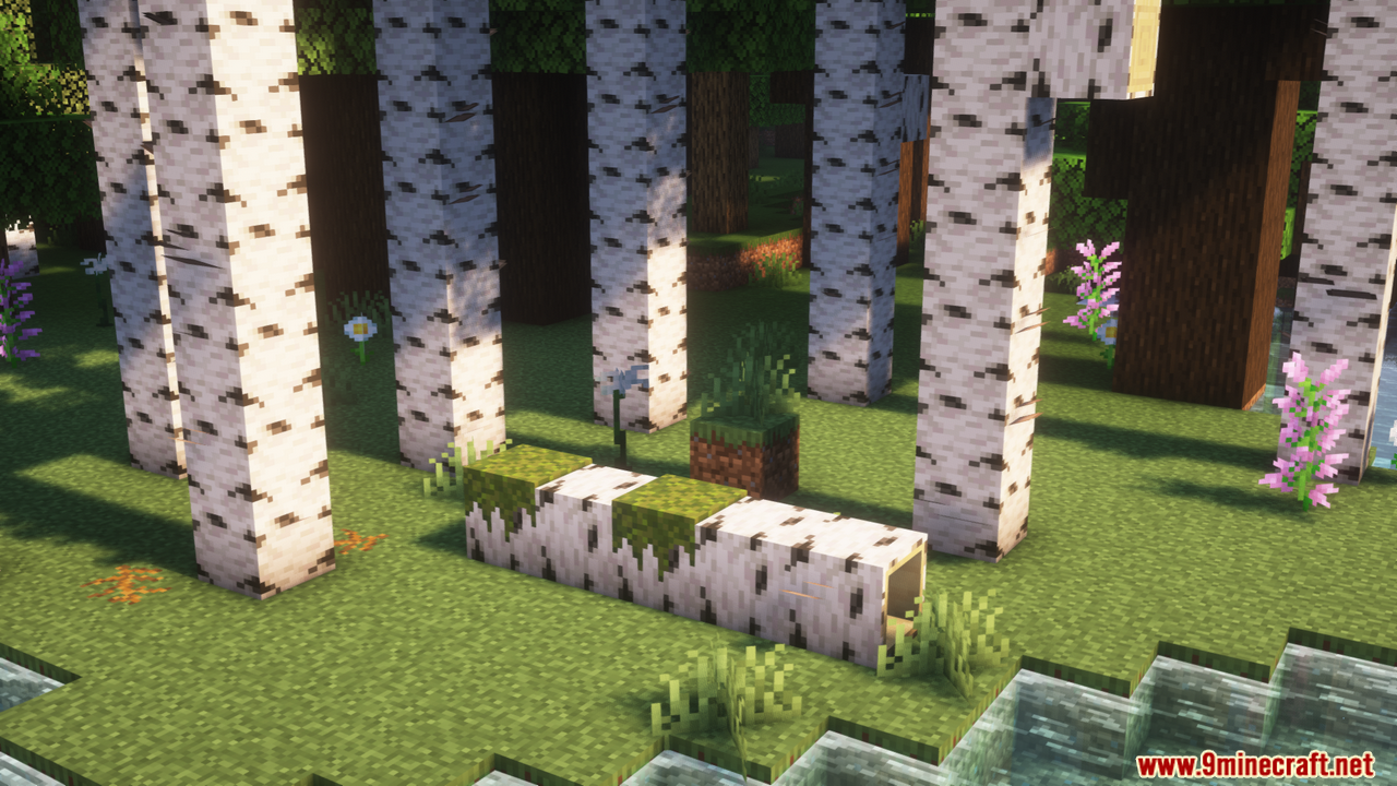 Hollow Mod (1.21.1, 1.20.1) - Adds Hollow Logs 5