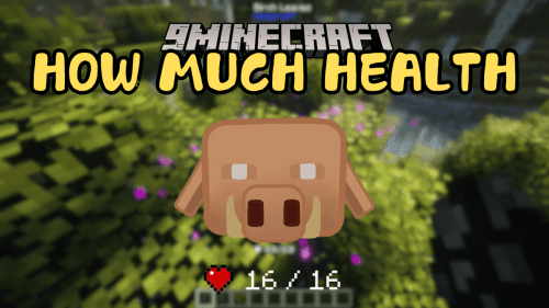 How Much Health Mod (1.21) – Displays The Health of Mobs Thumbnail